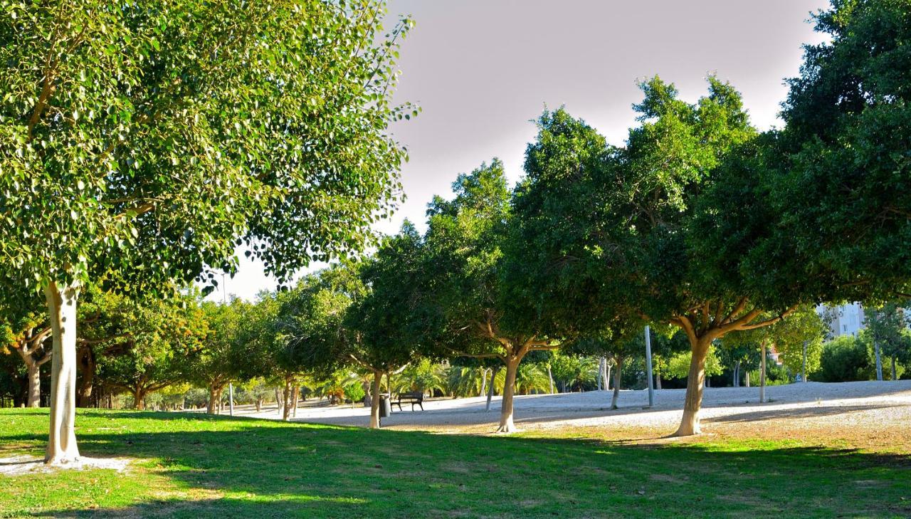 Myflats Brisas Del Sur Διαμέρισμα Αλικάντε Εξωτερικό φωτογραφία