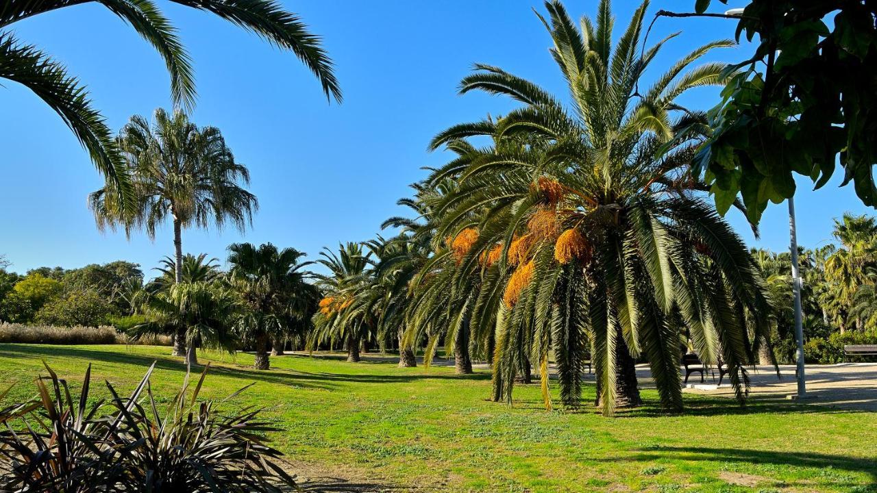 Myflats Brisas Del Sur Διαμέρισμα Αλικάντε Εξωτερικό φωτογραφία